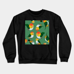 White-bellied Caique Parrot Crewneck Sweatshirt